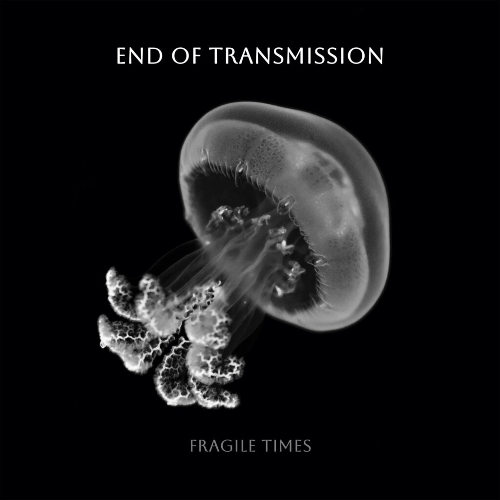 FRAGILE TIMES - Cover