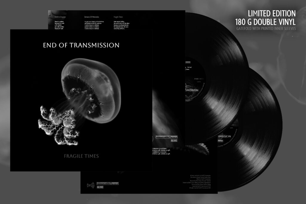FRAGILE TIMES - Vinyl